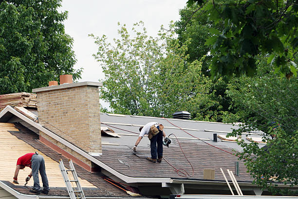 Best Roof Gutter Cleaning  in Bovina, TX
